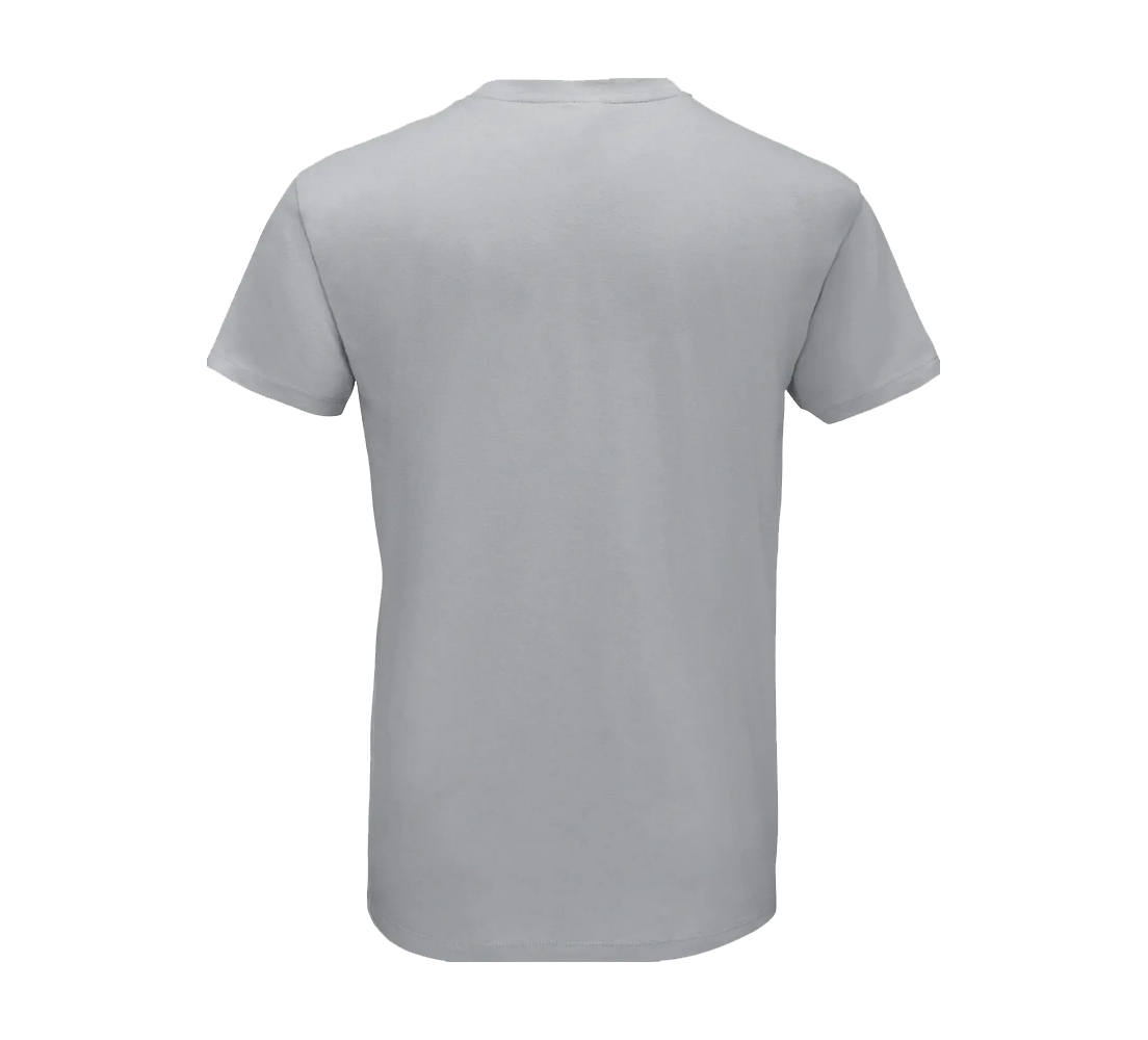Tee-Shirt Sol'S Regent homme