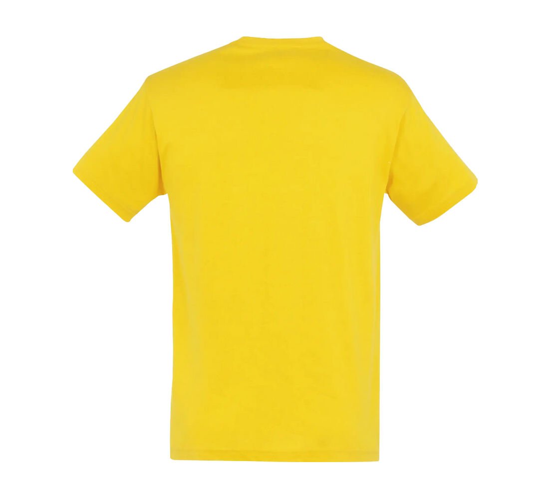 Tee-Shirt Sol'S Regent homme