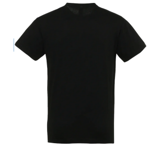 Tee-Shirt Sol'S Regent homme