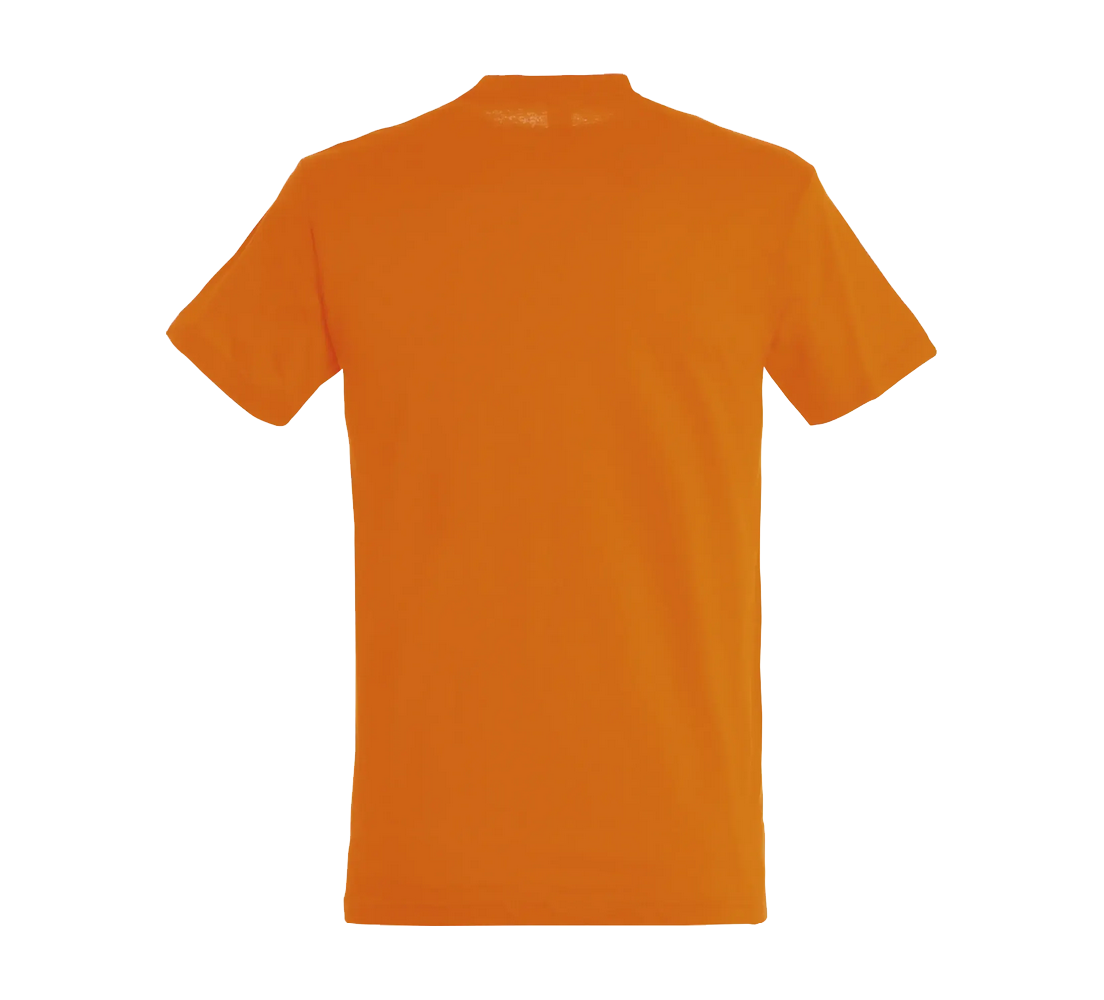 Tee-Shirt Sol'S Regent homme