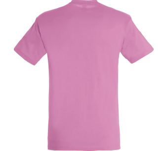 Tee-Shirt Sol'S Regent homme