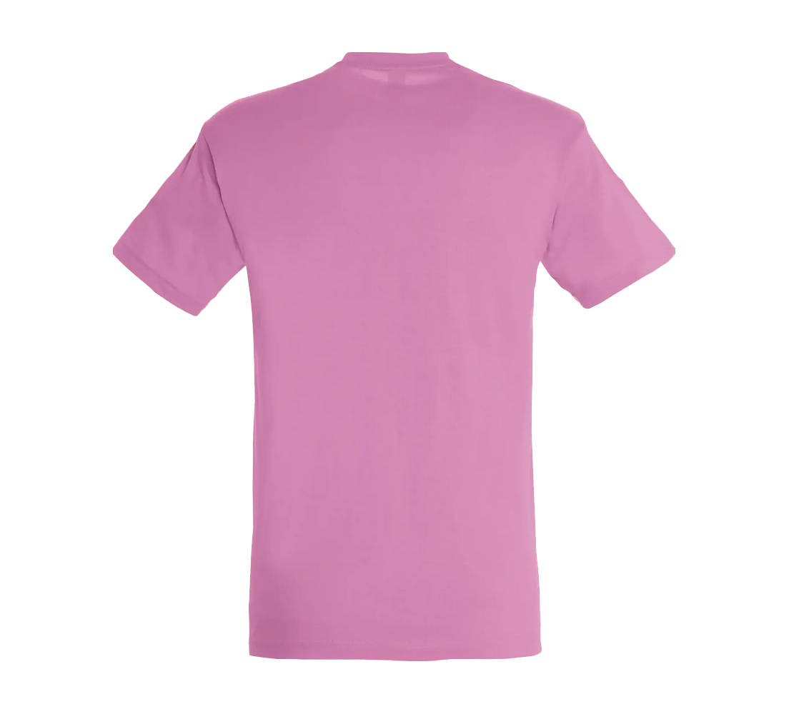 Tee-Shirt Sol'S Regent homme