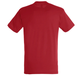 Tee-Shirt Sol'S Regent homme