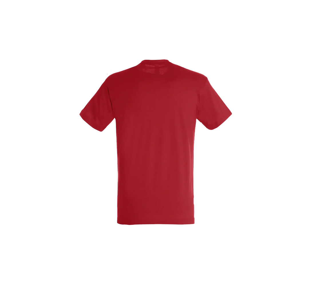 Tee-Shirt Sol'S Regent homme