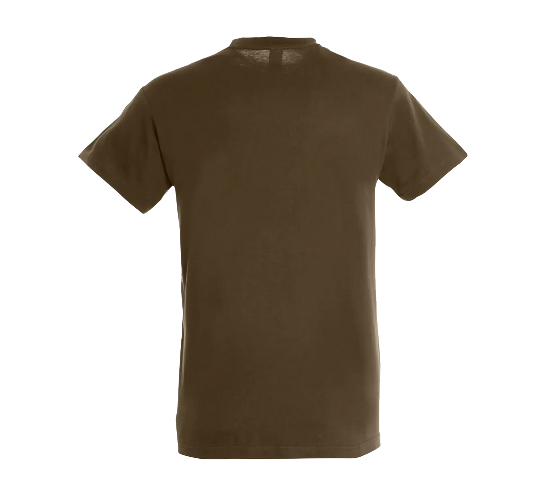Tee-Shirt Sol'S Regent homme