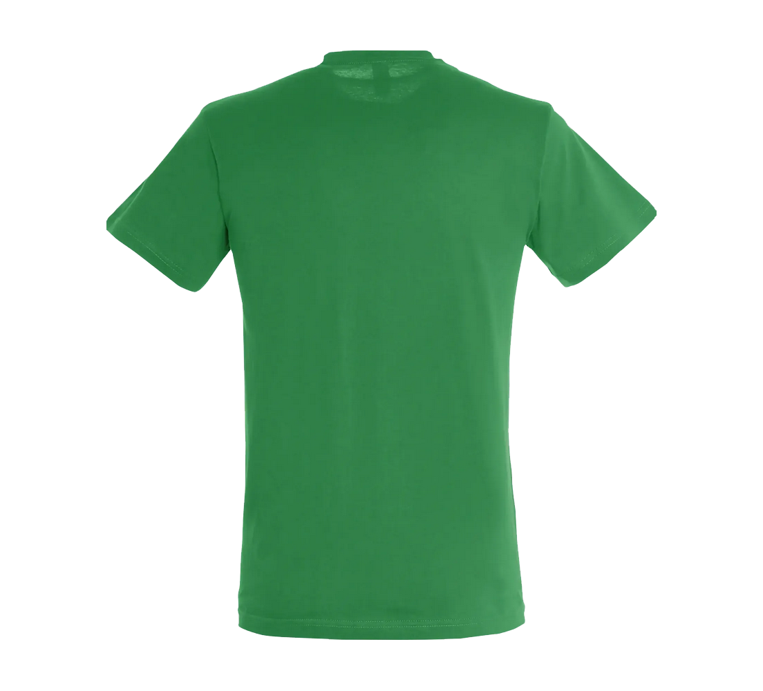 Tee-Shirt Sol'S Regent homme