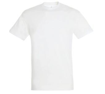 Tee-Shirt Sol'S Regent homme