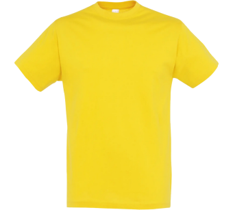 Tee-Shirt Sol'S Regent homme