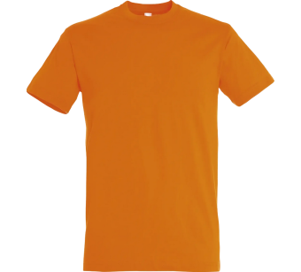 Tee-Shirt Sol'S Regent homme