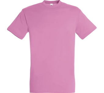 Tee-Shirt Sol'S Regent homme