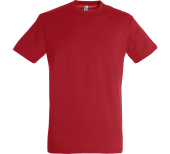 Tee-Shirt Sol'S Regent homme