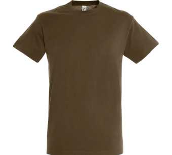 Tee-Shirt Sol'S Regent homme