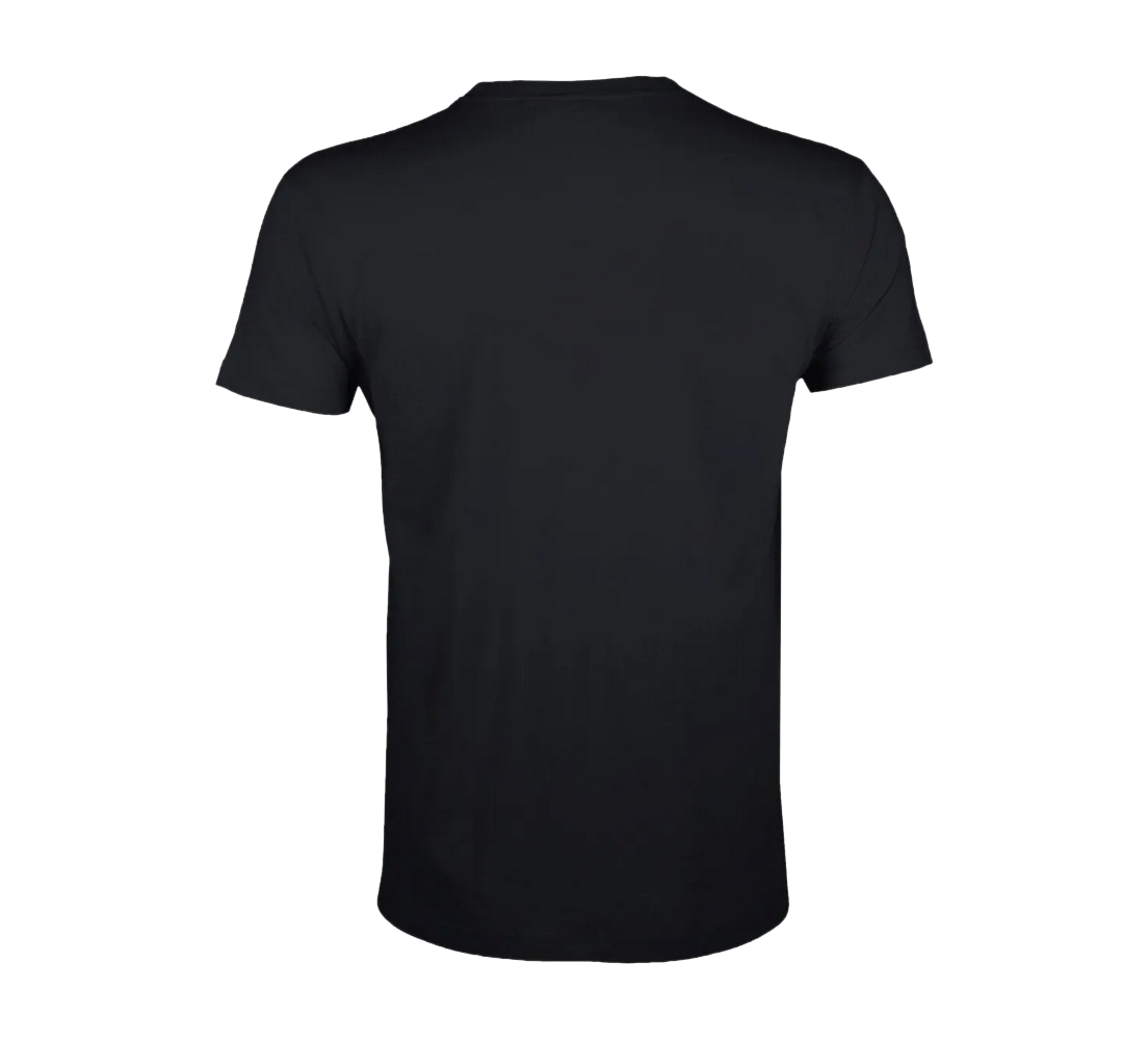 Tee-Shirt Regent Fit homme