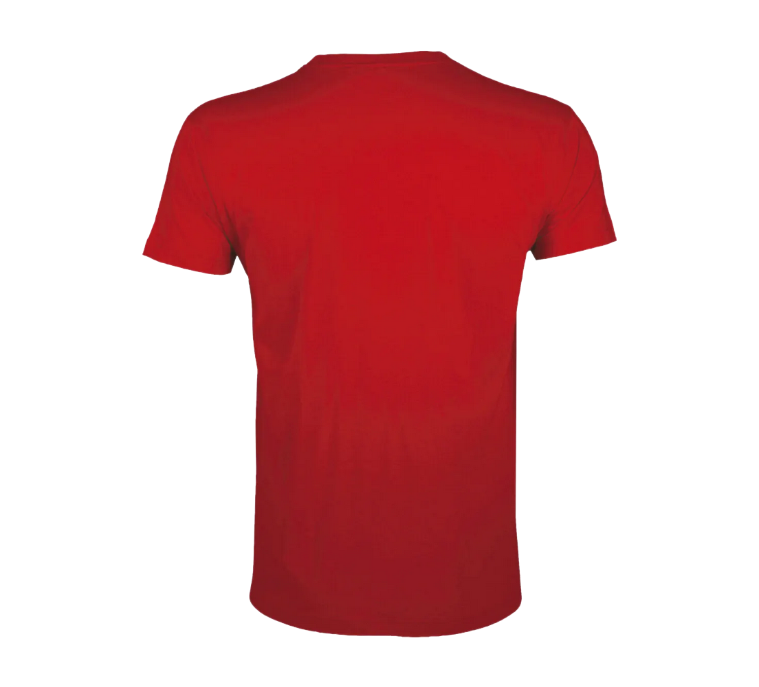 Tee-Shirt Regent Fit homme