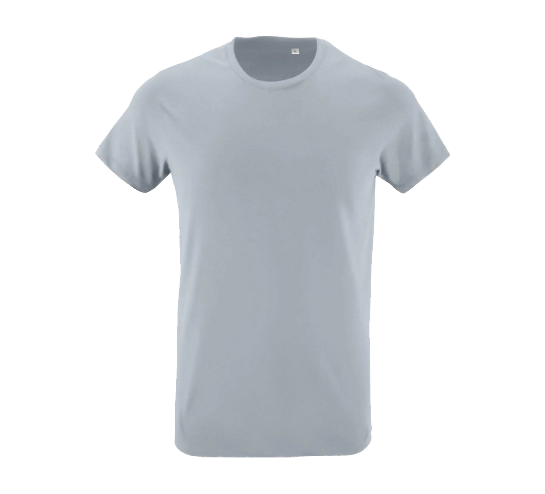 Tee-Shirt Regent Fit homme