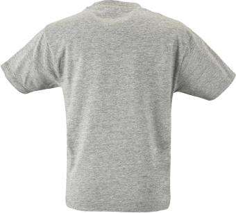 Tee-Shirt Regent kids