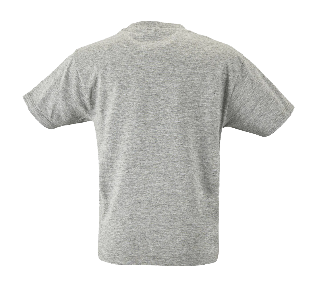 Tee-Shirt Regent kids